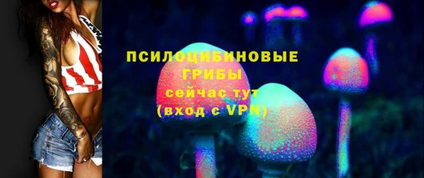 спайс Арсеньев