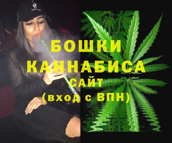 спайс Арсеньев